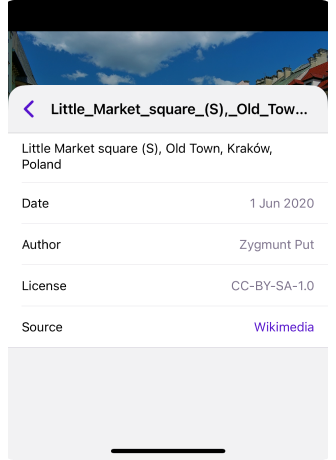 Контекстне меню онлайн фотографій iOS