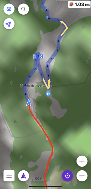 Записана поїздка в iOS